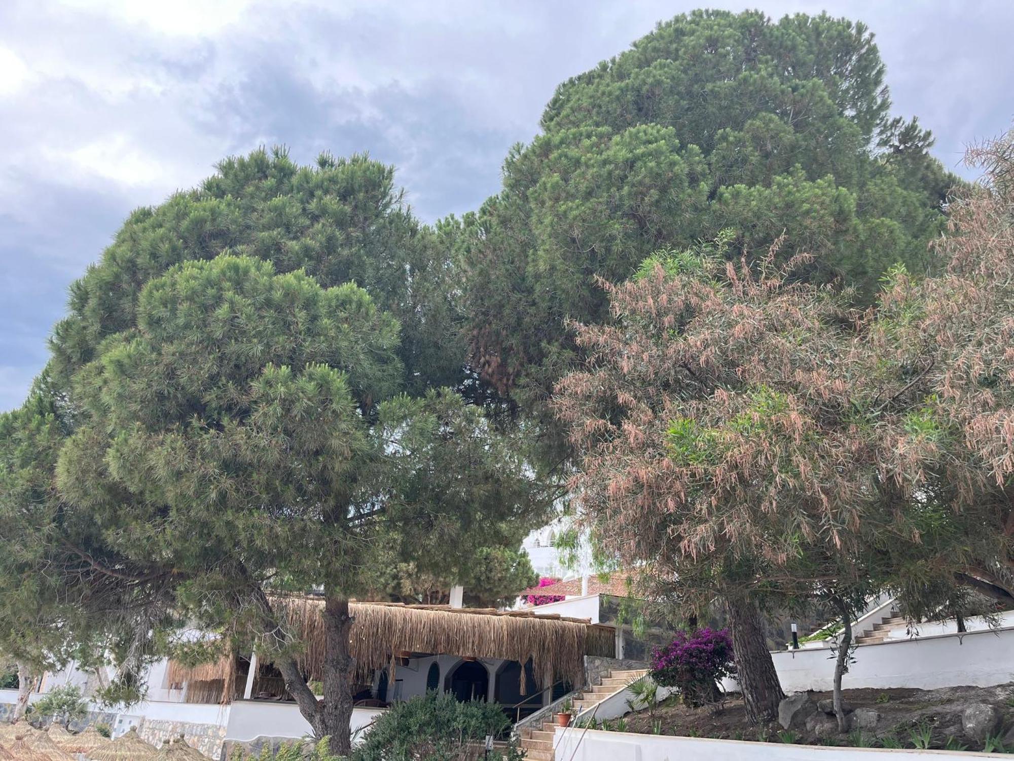 Holiday Inn Resort Bodrum By Ihg エクステリア 写真